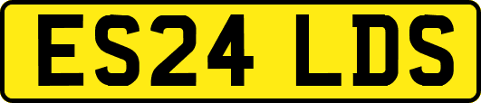ES24LDS