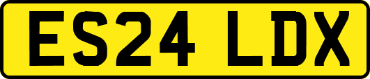 ES24LDX