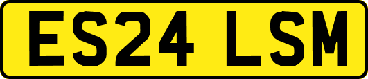 ES24LSM