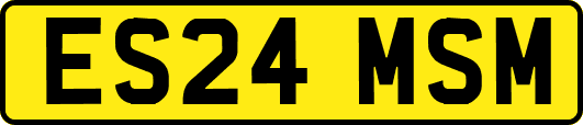 ES24MSM