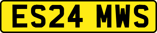 ES24MWS