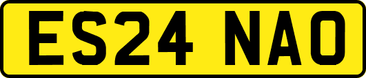 ES24NAO