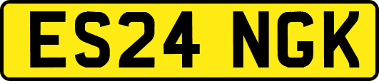 ES24NGK