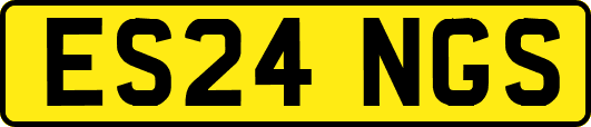 ES24NGS