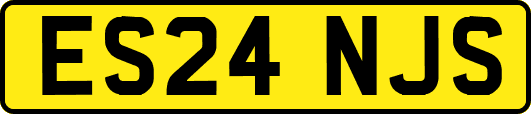 ES24NJS