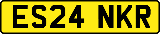 ES24NKR