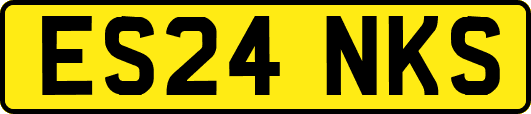 ES24NKS