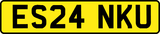 ES24NKU