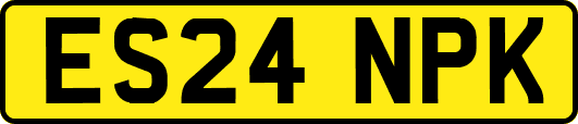 ES24NPK