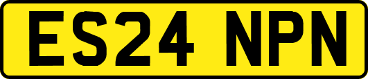 ES24NPN