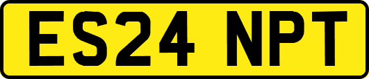 ES24NPT