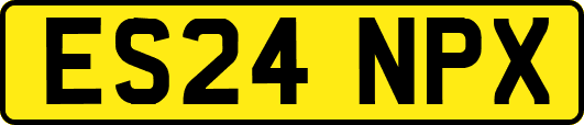 ES24NPX