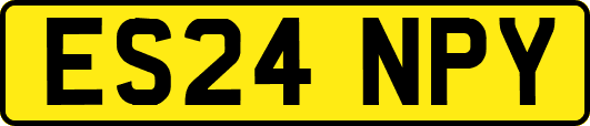 ES24NPY