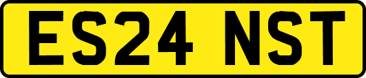 ES24NST