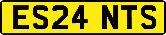 ES24NTS