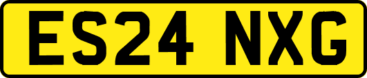 ES24NXG