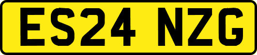 ES24NZG
