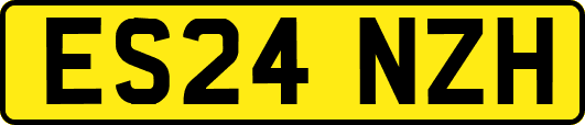 ES24NZH