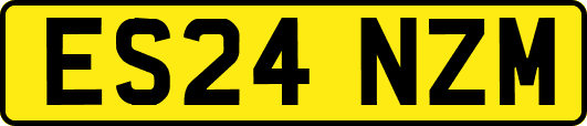ES24NZM