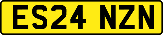 ES24NZN