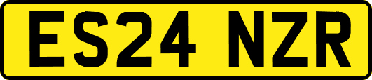 ES24NZR