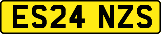 ES24NZS