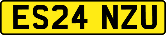 ES24NZU