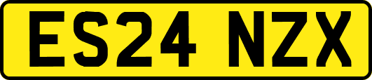 ES24NZX