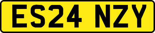 ES24NZY