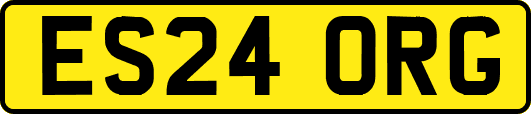 ES24ORG