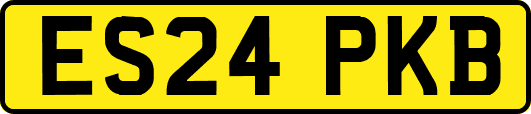 ES24PKB