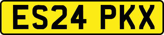 ES24PKX