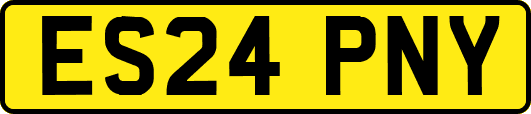 ES24PNY