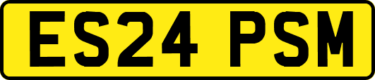 ES24PSM