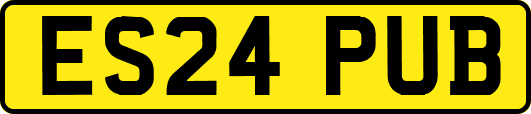 ES24PUB