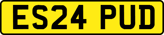 ES24PUD