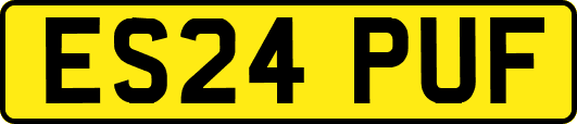 ES24PUF