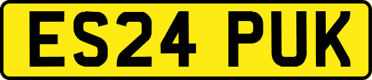 ES24PUK