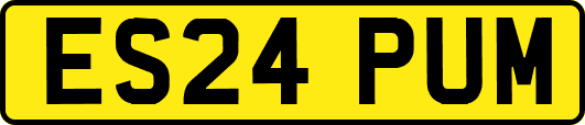 ES24PUM