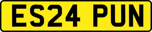 ES24PUN