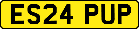 ES24PUP