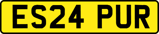 ES24PUR