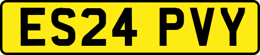 ES24PVY