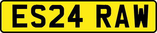 ES24RAW