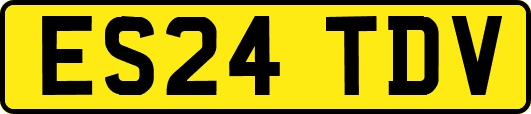 ES24TDV