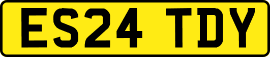 ES24TDY