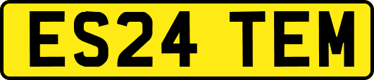 ES24TEM