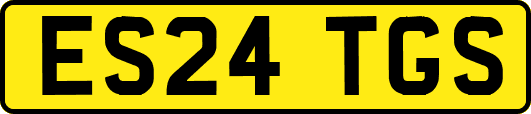 ES24TGS