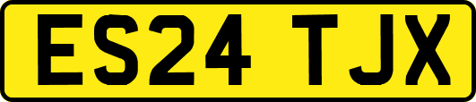 ES24TJX
