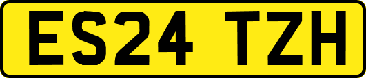 ES24TZH